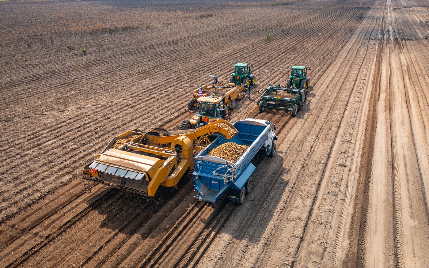 Alsum-Farms-2021-Potato-Harvest-Grand-Marsh