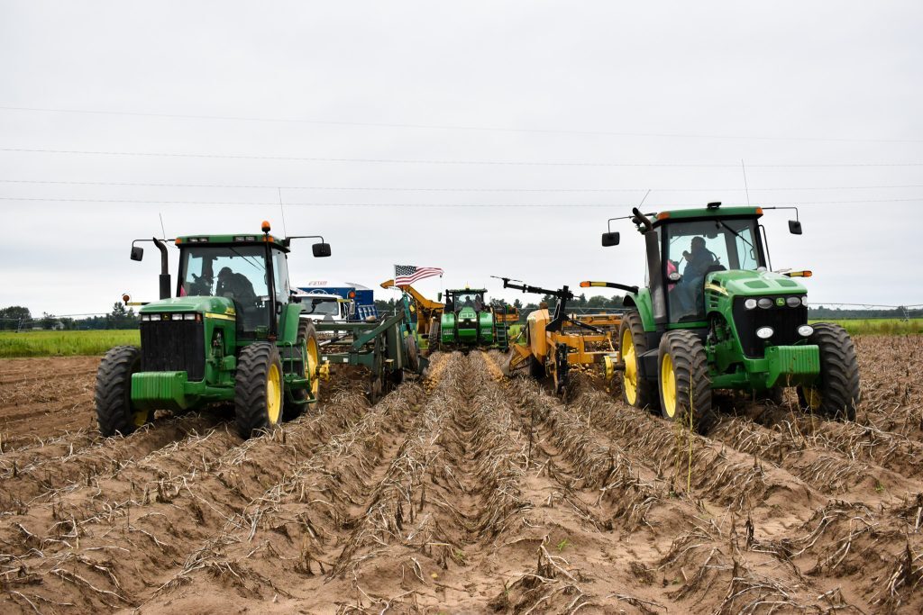 Alsum_Farms-44-1024x683