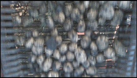 blurry_1