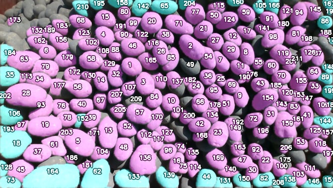 piled_crop