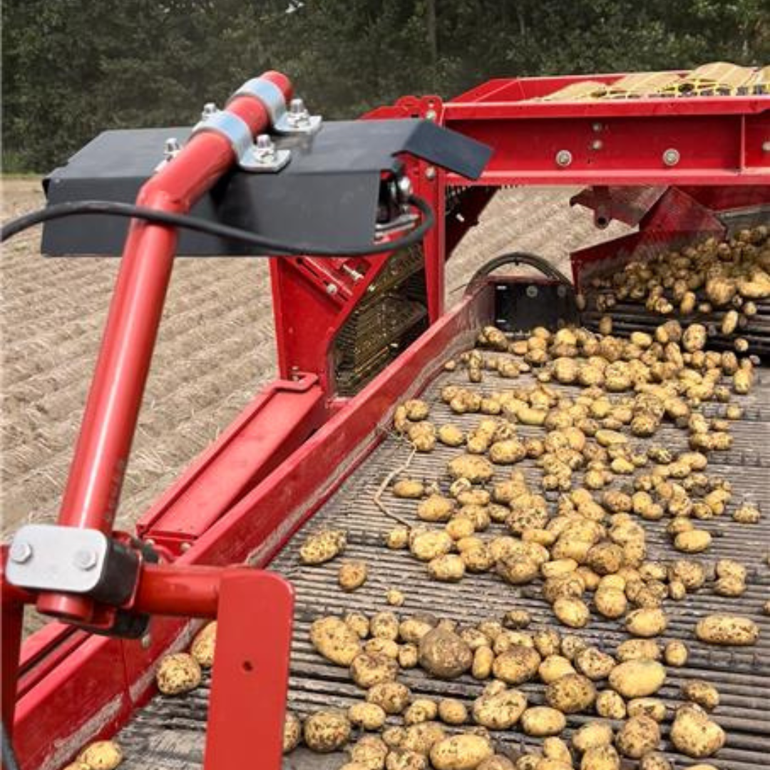 Untitled design (20)