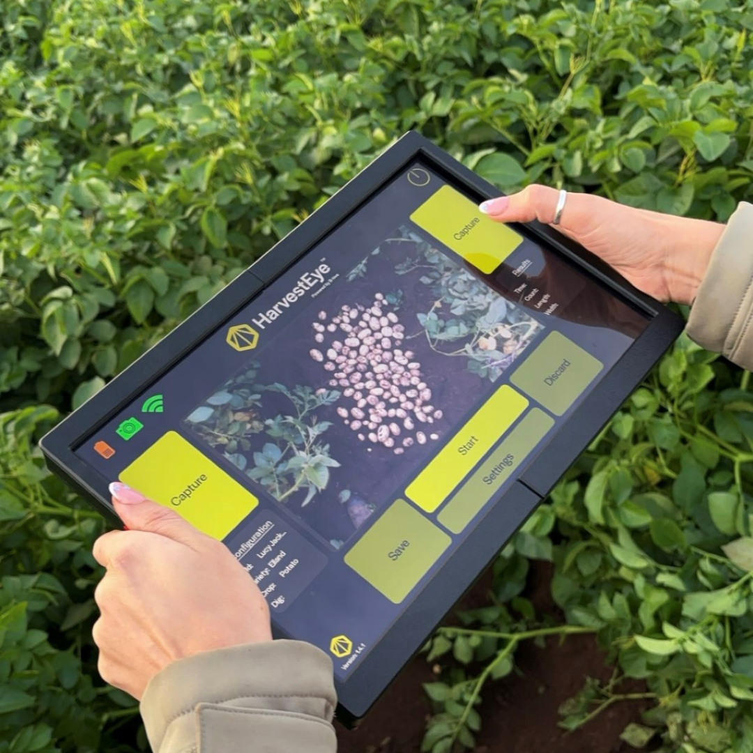 Untitled design (22)